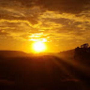 Meet your Posher, Ricky